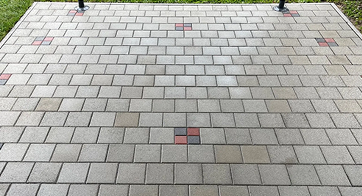 Tlakavci prije čišćenja